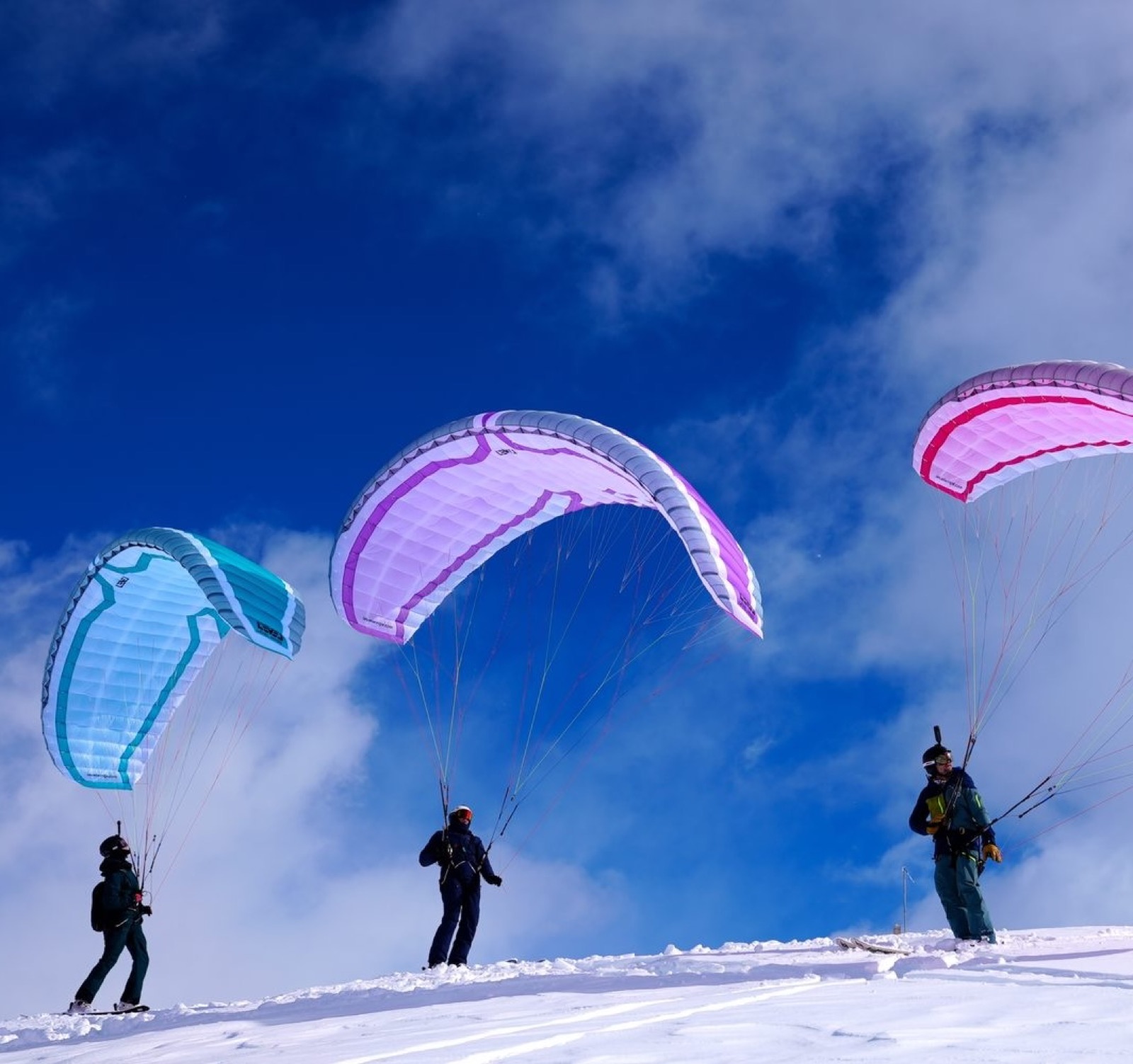 Level Wings Fierce in flight