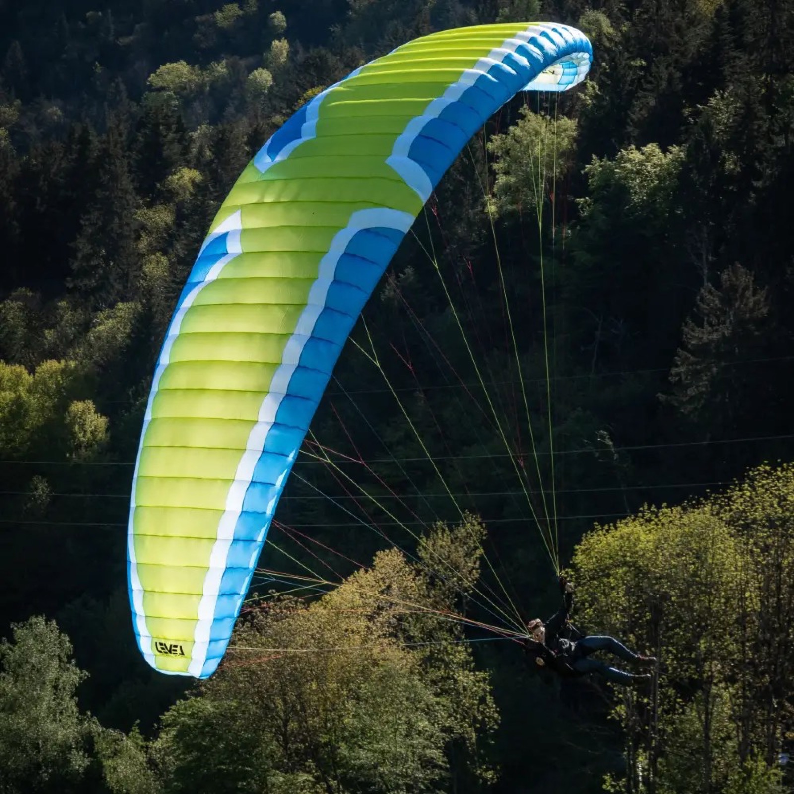 Level Wings Flex in flight