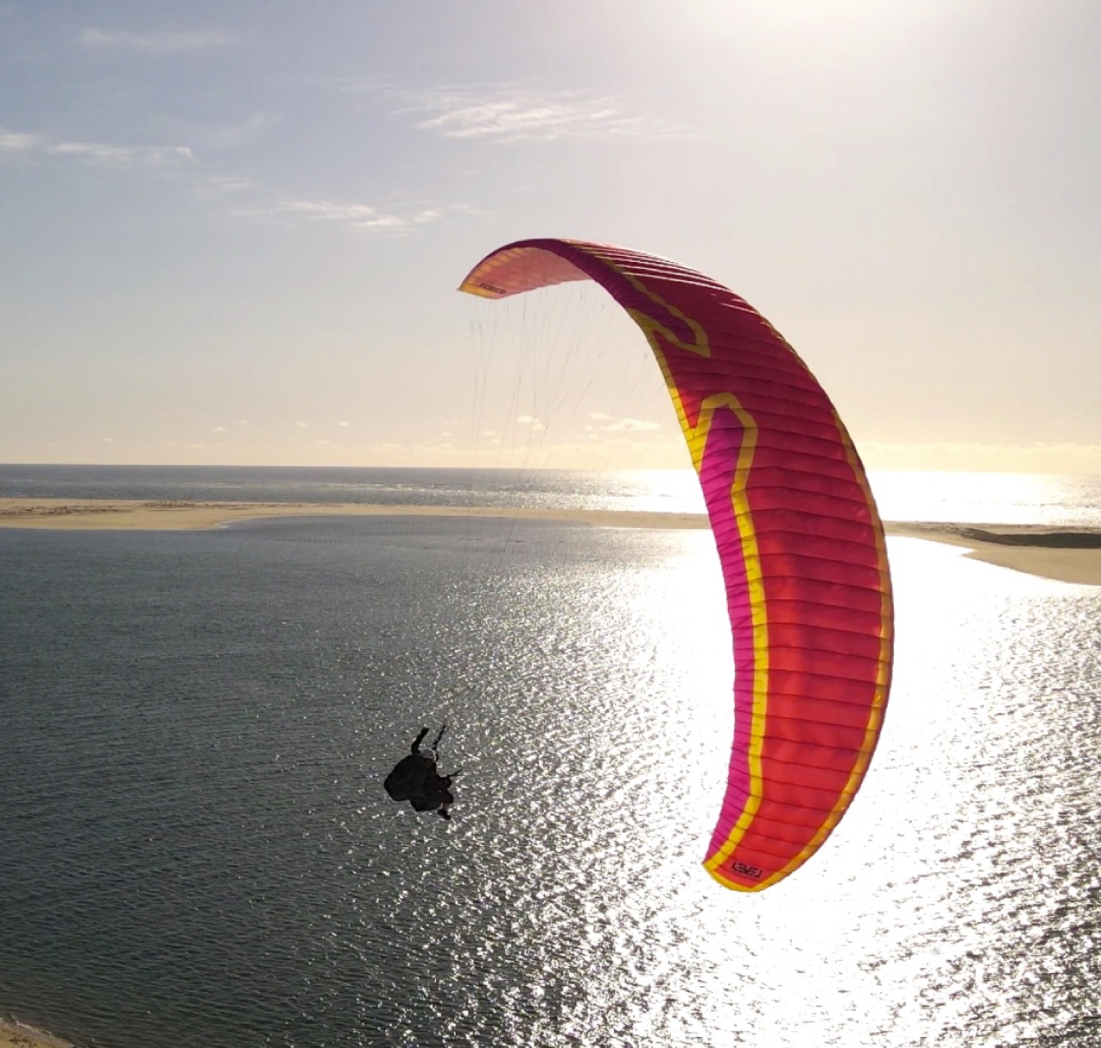 Level Wings Force in flight